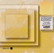 Horadam aquarelle schmincke 229 jaune de Naples 1/2